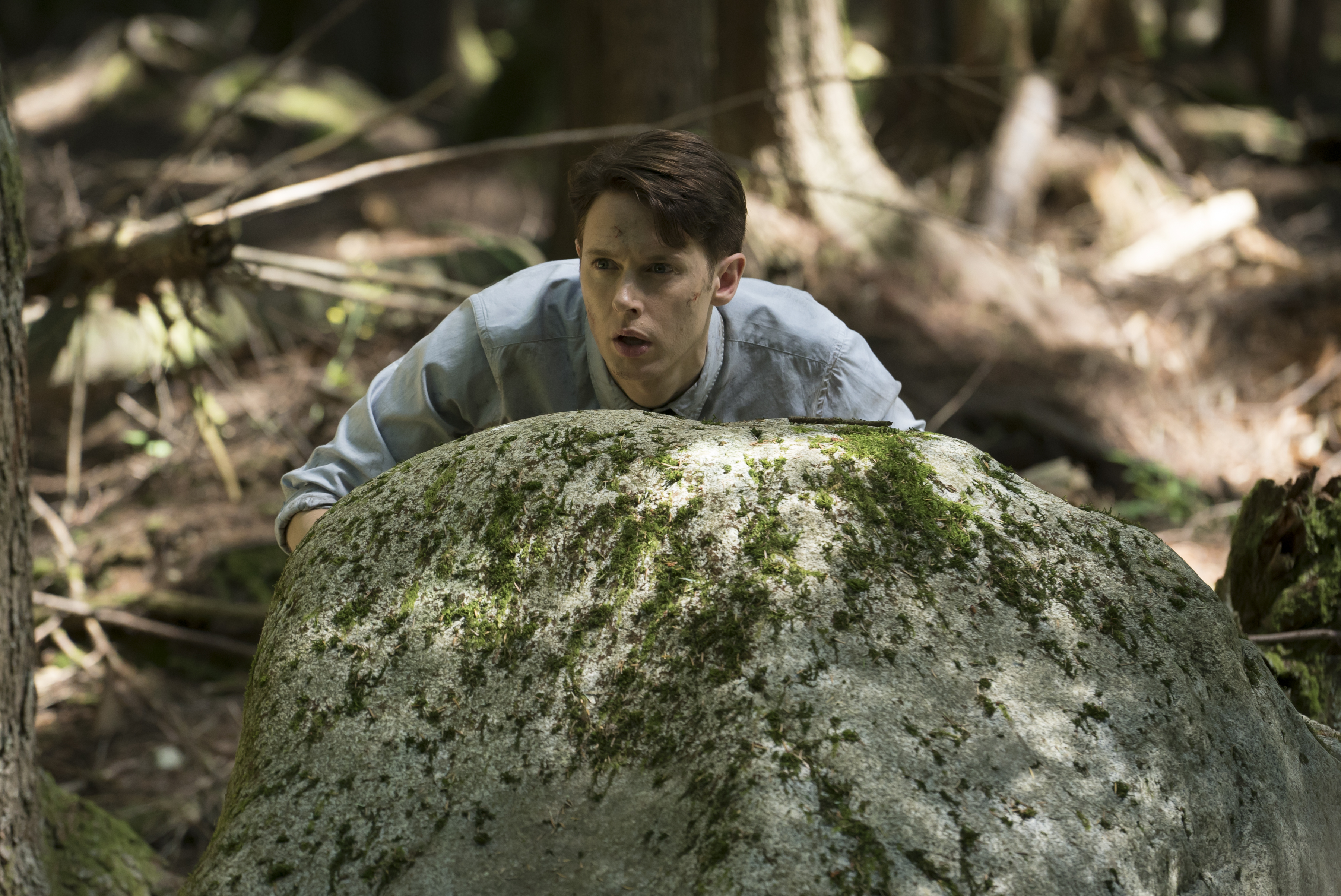 Dirk Gently Agencia de Investigaciones Holísticas